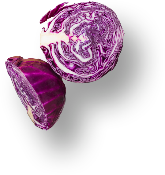 slider-layer2 slider-layer2