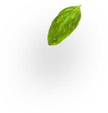 slider-layer7 slider-layer7