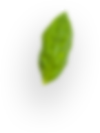 slider-layer8 slider-layer8