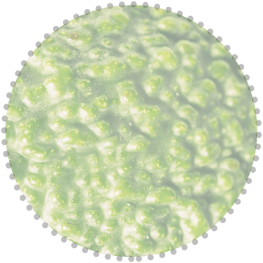 h1-slide3-layer1 h1-slide3-layer1