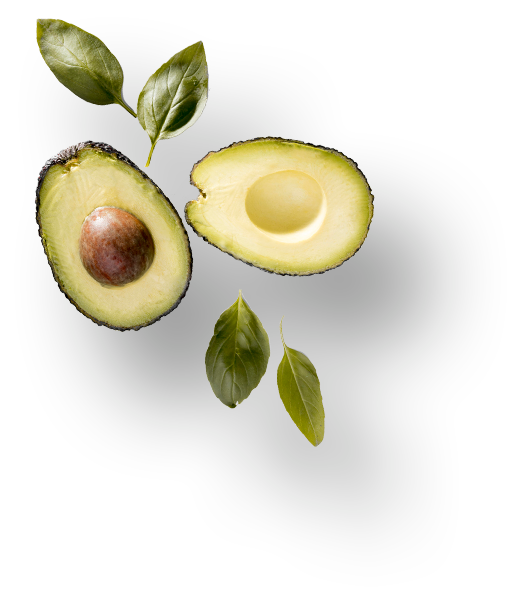 h1-slide3-layer2 h1-slide3-layer2