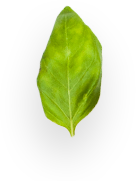 h1-slide3-layer4 h1-slide3-layer4