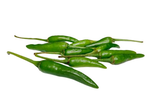 Cabe Rawit Ijo