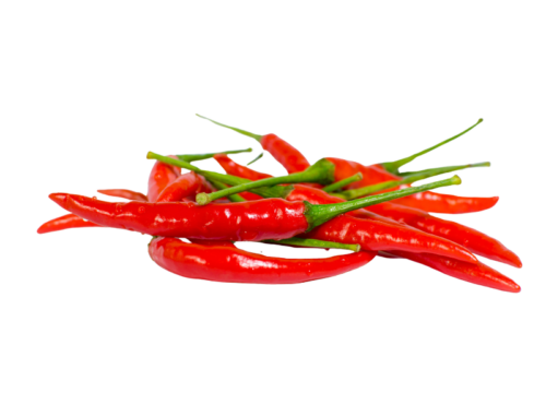 Cabe Rawit Merah Pedas Jablay