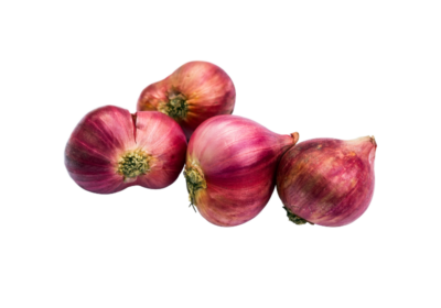 Bawang Merah Super