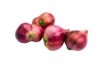 Bawang Merah Super