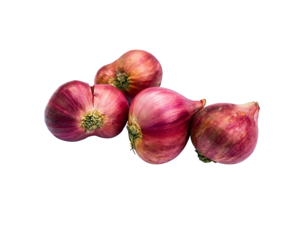 Bawang Merah Super