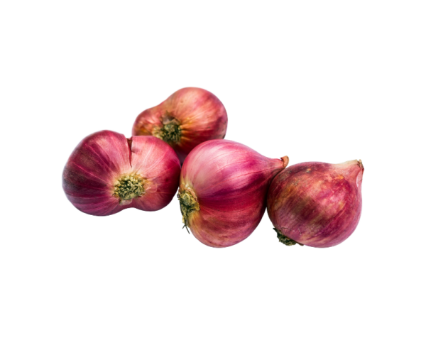 Bawang Merah Super