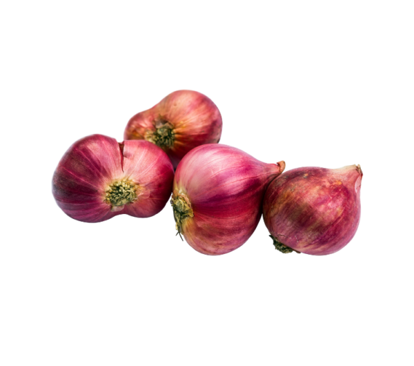Bawang Merah Super