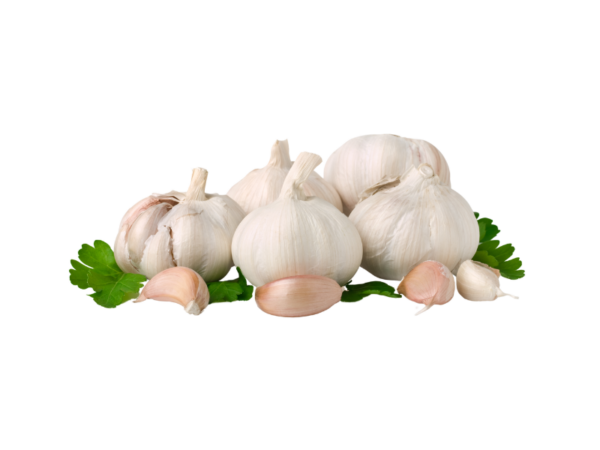 Bawang Putih Super