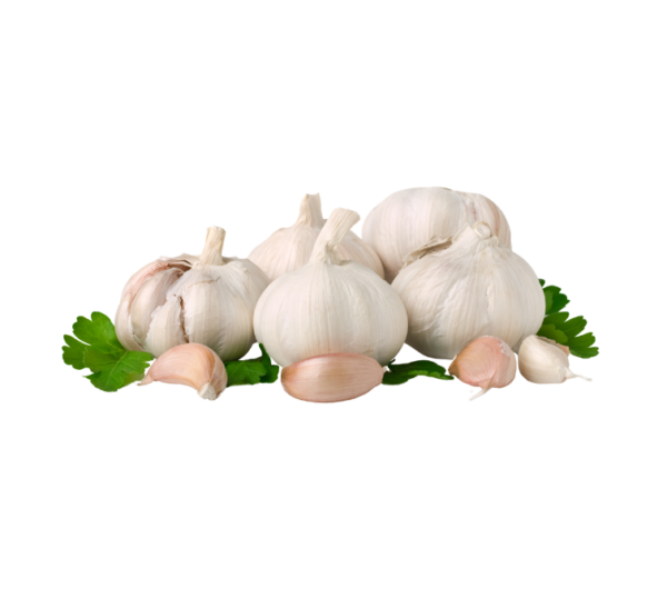 Bawang Putih Super
