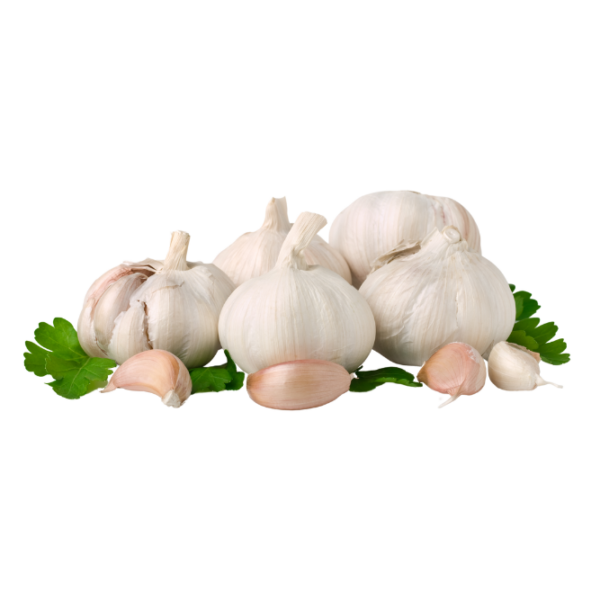 Bawang Putih Super