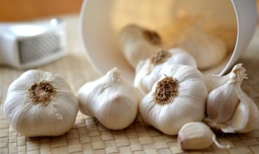 Manfaat Bawang Putih Untuk Kesehatan