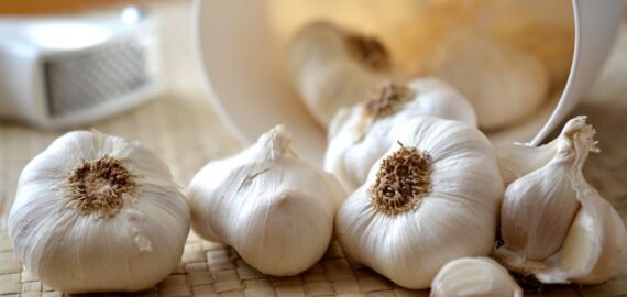 Manfaat Bawang Putih Untuk Kesehatan