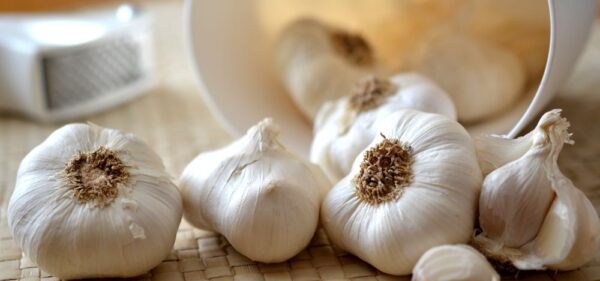 Manfaat Bawang Putih Untuk Kesehatan