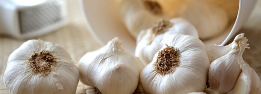 Manfaat Bawang Putih Untuk Kesehatan
