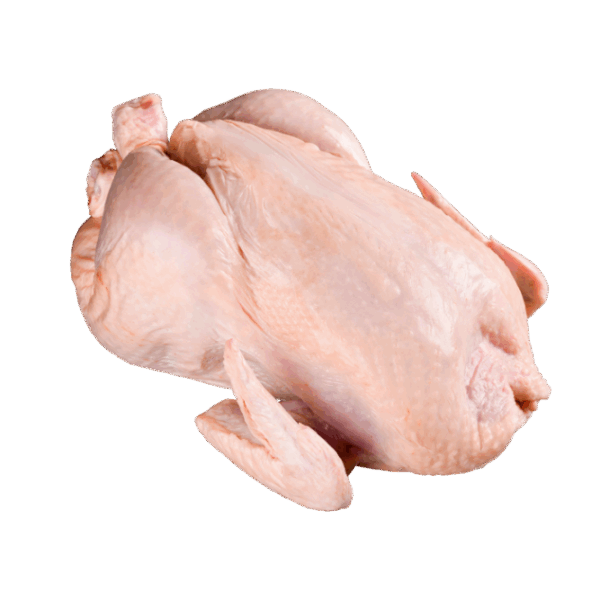 Ayam Utuh
