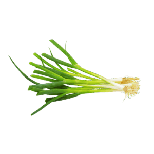 Bawang Daun