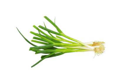 Bawang Daun