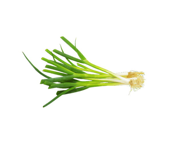 Bawang Daun