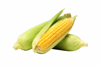 Jagung Manis