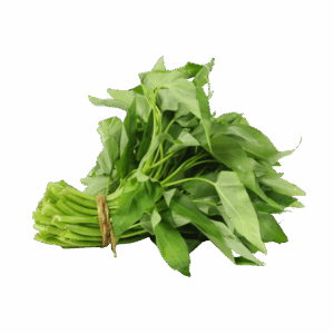 Kangkung
