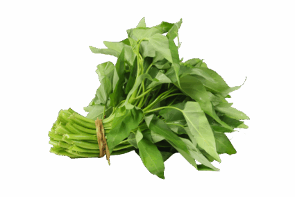 Kangkung