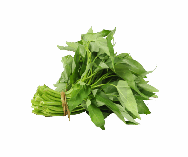 Kangkung