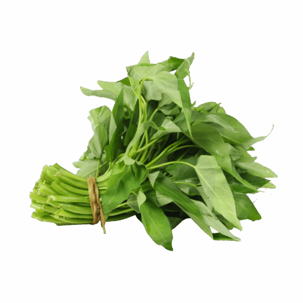 Kangkung