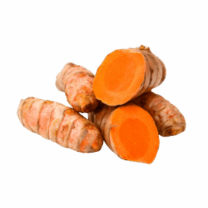 Kunyit