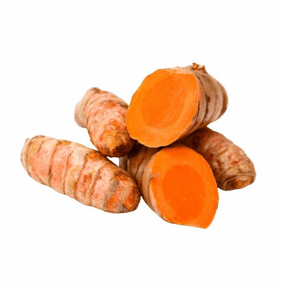 Kunyit