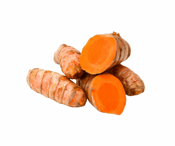 Kunyit