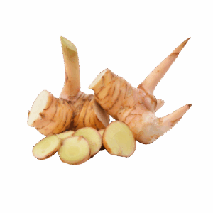 Lengkuas