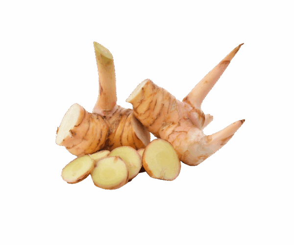 Lengkuas Daerah