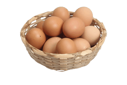 Telur Ayam Telur Ayam