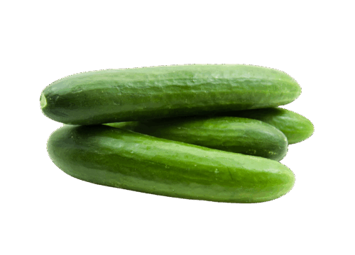 Timun
